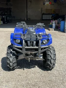 2003 Yamaha Grizzly 660 (YFM660FA)