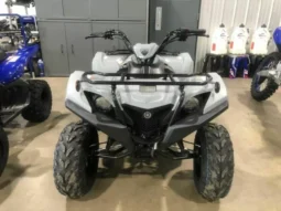 2021 Yamaha Grizzly 90 (YFM90RYX)