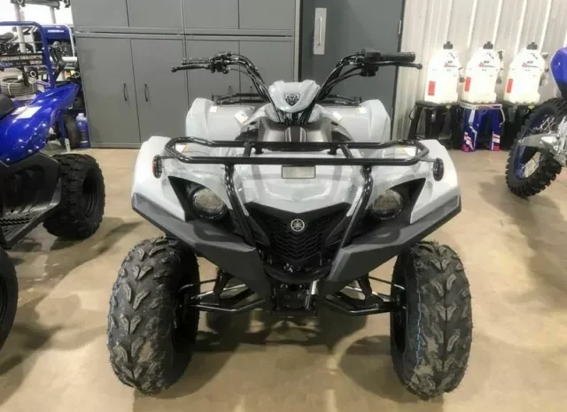 2021 Yamaha Grizzly 90 (YFM90RYX)