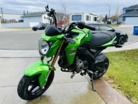 2016 Kawasaki Z125 PRO (BR125J)