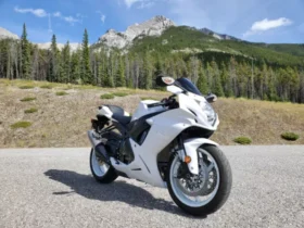 2019 Suzuki GSX-R600