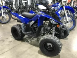 2021 Yamaha Raptor 90 (YFM90R)