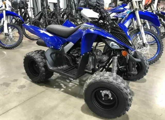 2021 Yamaha Raptor 90 (YFM90R)