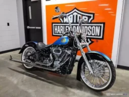 2019 Harley-Davidson Low Rider 107 (FXLR)