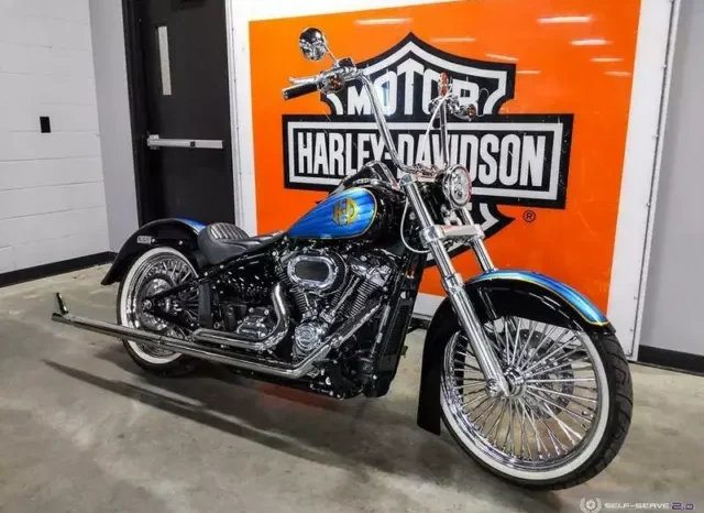 2019 Harley-Davidson Low Rider 107 (FXLR)