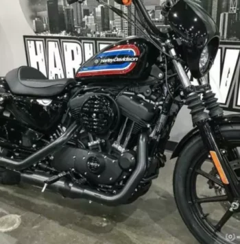 2021 Harley-Davidson Iron 1200 (XL1200NS)