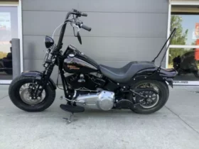 2009 Harley-Davidson Cross Bones 96 (FLSTSB)