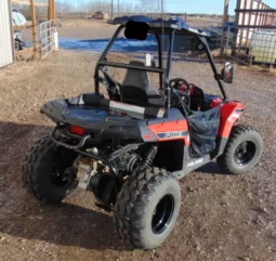 2017 Polaris ACE 150