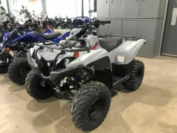 
										2021 Yamaha Grizzly 90 (YFM90RYX) full									