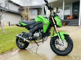 2016 Kawasaki Z125 PRO (BR125J)