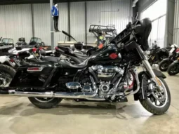 
										2019 Harley-Davidson Electra Glide Standard 1584 (FLHT) full									