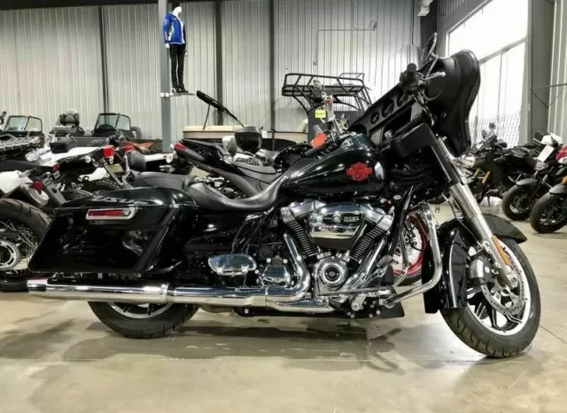 
								2019 Harley-Davidson Electra Glide Standard 1584 (FLHT) full									