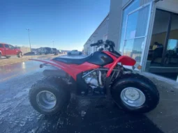 
										2007 Honda TRX90 X full									