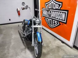 
										2019 Harley-Davidson Low Rider 107 (FXLR) full									