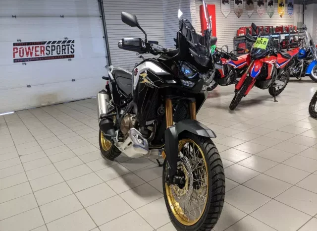 
								2020 Honda Africa Twin Adventure Sports DCT (CRF1000DL2) full									