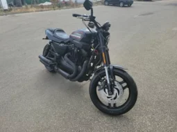 
										2010 Harley-Davidson XR1200 full									