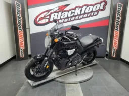 
										2009 Yamaha MT-01 full									