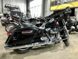 
										2019 Harley-Davidson Electra Glide Standard 1584 (FLHT) full									