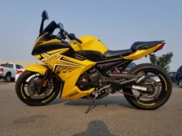 
										2009 Yamaha FZ6R full									