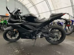 2020 Yamaha YZF-R3