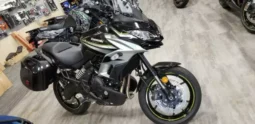 2019 Kawasaki Versys 650 ABS