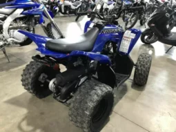 
										2021 Yamaha Raptor 90 (YFM90R) full									