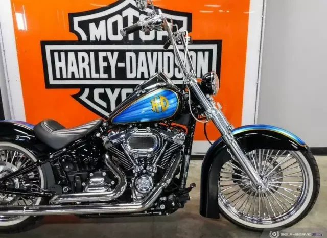 
								2019 Harley-Davidson Low Rider 107 (FXLR) full									