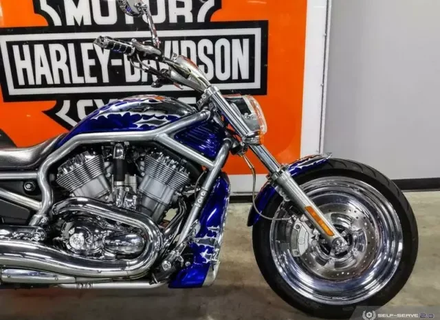 
								2006 Harley-Davidson V-Rod 1130 (VRSCA) full									