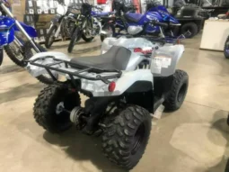 
										2021 Yamaha Grizzly 90 (YFM90RYX) full									