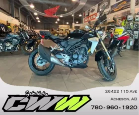 2021 Honda CB300R (CB300RA)