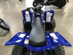 
										2021 Yamaha Raptor 90 (YFM90R) full									