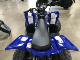 2021 Yamaha Raptor 90 (YFM90R)