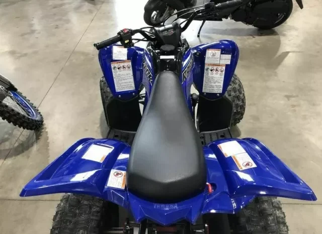 
								2021 Yamaha Raptor 90 (YFM90R) full									