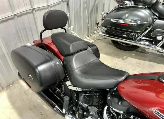 
								2019 Harley-Davidson Sport Glide 107 (FLSB) full									