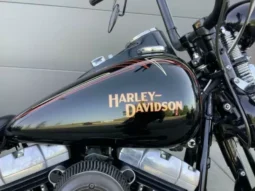 2009 Harley-Davidson Cross Bones 96 (FLSTSB)