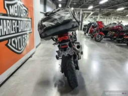 
										2019 BMW F 750 GS full									