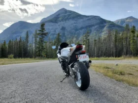 2019 Suzuki GSX-R600