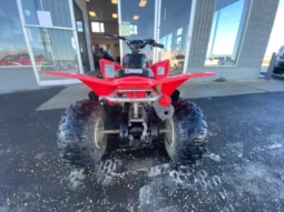 
										2007 Honda TRX90 X full									