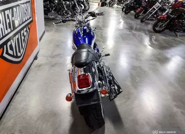 
								2006 Harley-Davidson V-Rod 1130 (VRSCA) full									